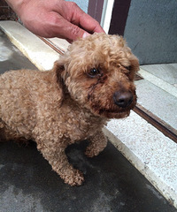 ������Ѱ���ˡ���æ������Χ��ľ���˶��˳���