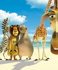 ̫��û�����ˣ�����������˿���о������