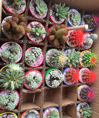 ���⣬�������