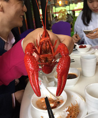 虾吃虾涮免费试吃,好吃的重庆火锅
