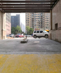 �л����͵����������գ�