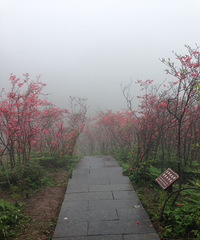 ���￴�� ����һ����ζ