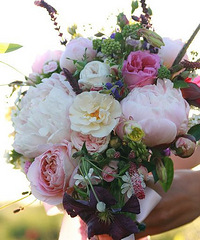 ���ٰ��鶼��ʼ��ϲ�����������˽�