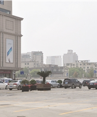 [�������ͣ��������]��225������λ