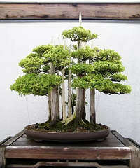 �����������辰��������������������