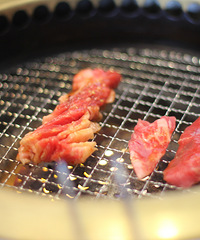 �������У�����������-�߲�������