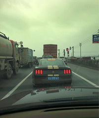 ·���ĵ� ����ʲô��