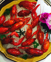 Ϻ��Ϻ��Ϻ�����Ϻ��+�Ź���һ��ζ�ٵ����硫