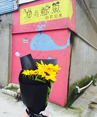 �����Ӵ��ҷɡ�è�뾨�㡱������а�