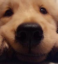 ��520���׻᡿27�꽷���г��з����³� ��н10-15��