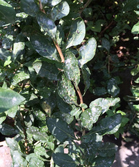 �����������ô�ˣ�