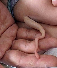 һС������ʱ��β��