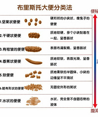 ��������ѧ����ô��