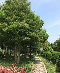 4��30����û�������Ѿ��ɽ�ģ�С���������ȥ