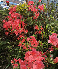 4��30����û�������Ѿ��ɽ�ģ�С���������ȥ