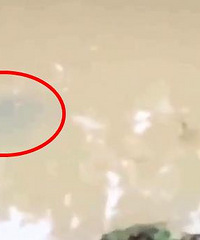 �о��������㣬û�뵽������ˮ��һ���ŵò��Ҷ�����