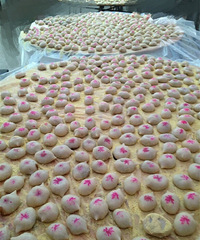 Ů����ͭǮ�������ࡢ������Բ �з�����𡢽�������������