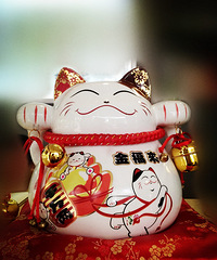 ������˾�����Ů�ɣ�Ϊ�Ҷ���