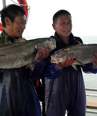 ����µ���һ��ɽ��������һ����������~~~