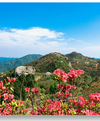 ��һ����ɽ���