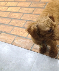 [������]�����ջ�ı��˼ҵĹ�