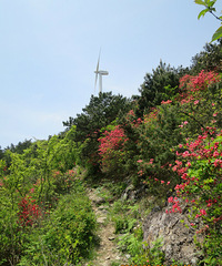 �糵 �ž� ɽ���ߡ���2016��һ������