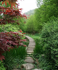 中央山公园的天然氧吧和花花草草美不胜收