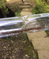 ץ����ô������