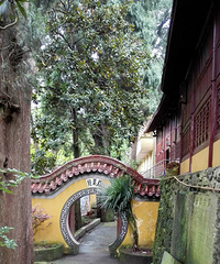 想走就走,带伤冒雨孤身寻找天梯之旅