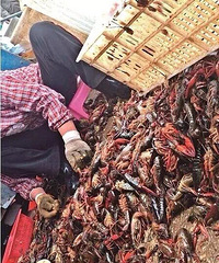 ��С��Ϻȥ���ˣ� ���߰��ã�����̫���¡���