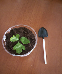 ��������ϵ��֮�ҿ��ԳԺö�ö����~~~