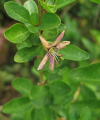 �²�����ɶ