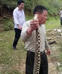 �𻪾�������ֵĶ����� ��㱻�տ�