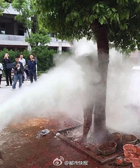 �ּ�Ұ�����ף����ɱ��ǹ��ù�Ѫ�������