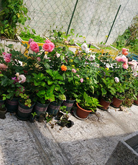 ����һ�껨��ʱ�������ҵ���̨����ô���¼�