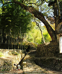 ����.����-�Ϫ�������ټ�