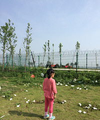 5.1 ���ӻ֮�տ�����ʱ