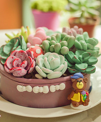 һ�����ڵ����յ��⣬���⵰���п����гԣ�