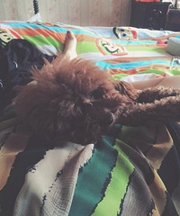 ��һ�Ҳ������Ĳ�Ҫ��Ҫ��