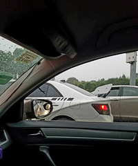 β���ĵ�̫���� ���������ĵĿ�����ʲô������