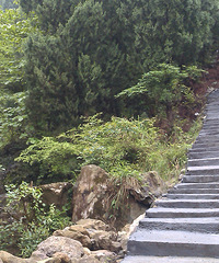 ���������ң�ʯ�˽�����