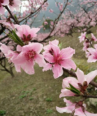 ����������Ҫ�����ⷿ�ˣ�����