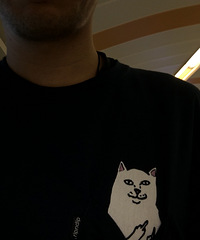 ��520���׻᡿+27�����������Լ10�������� ����������