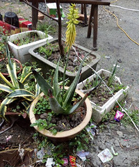 �����һ�ο���«��������