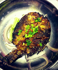 ����ɭ����˵���ֺ��տ����䣿