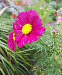 ����һ����