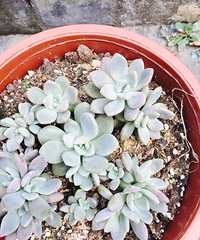 �ҵ�������