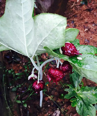 ��ʲô����û����