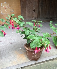 ��˭��ʶ���ʲô����