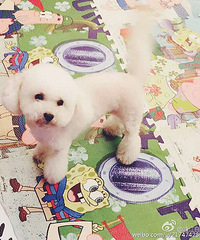 ������ؼҡ�����������